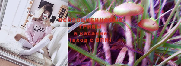 метадон Арсеньев